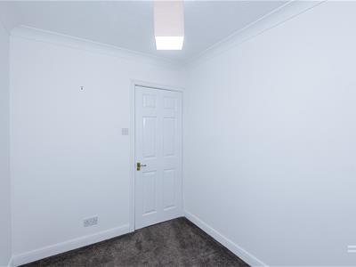 Picture 31